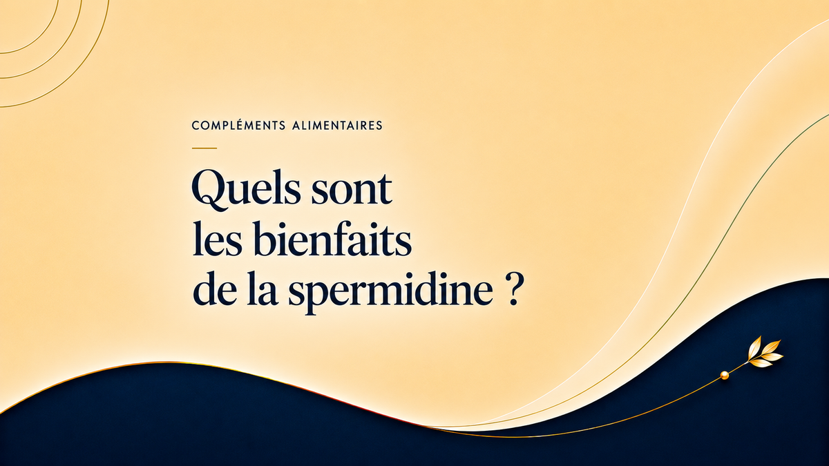 Quels sont les bienfaits de la spermidine ?
