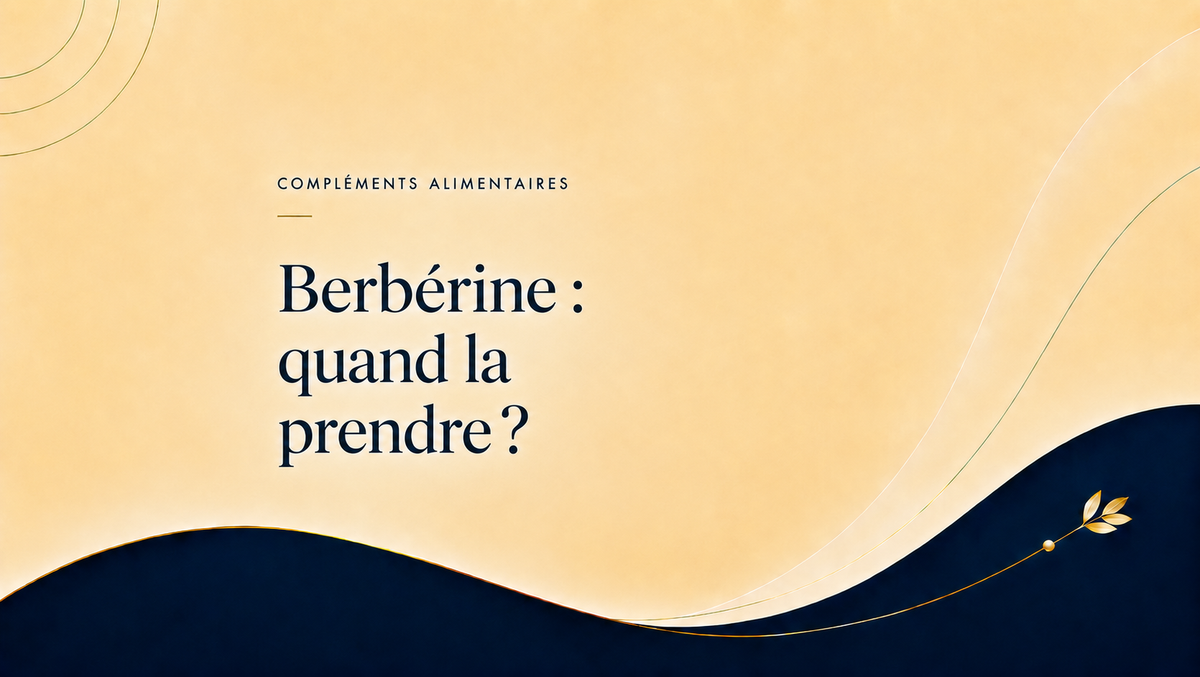 Berbérine : quand la prendre avant, pendant ou après les repas
