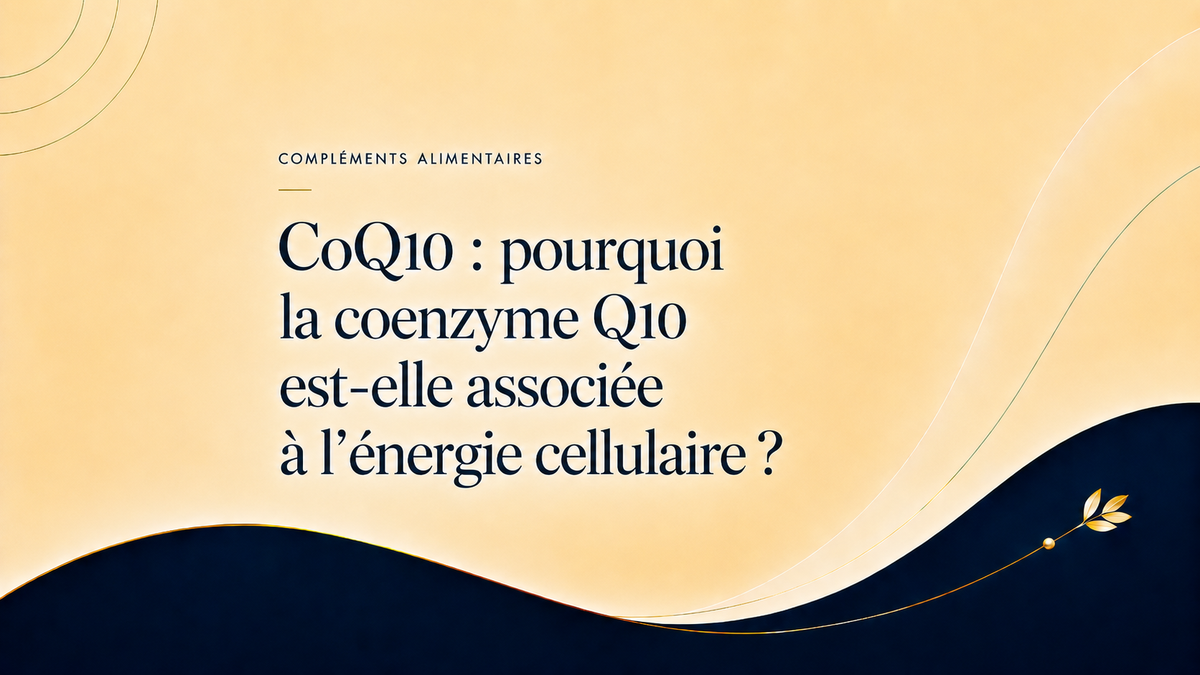 CoQ10 et énergie cellulaire