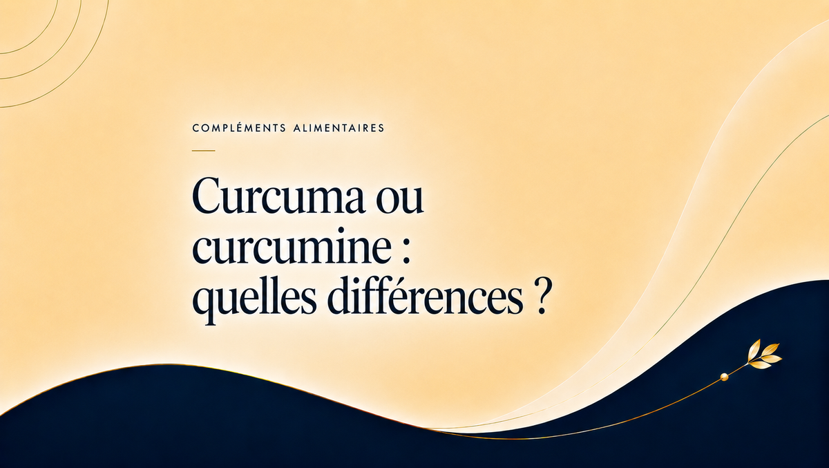 Illustration éditoriale NovAging comparant le curcuma, la curcumine et un extrait standardisé en curcuminoïdes