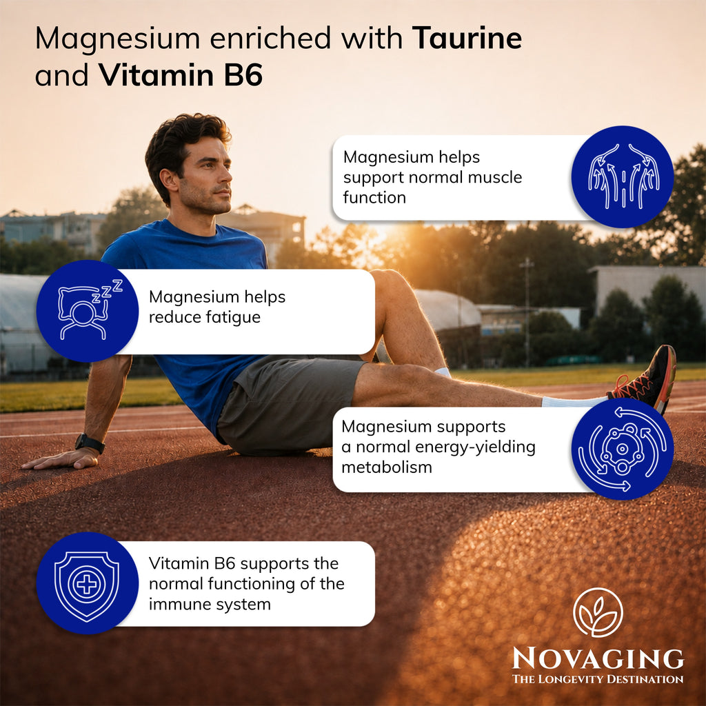 NovAging magnesium — EN — 4